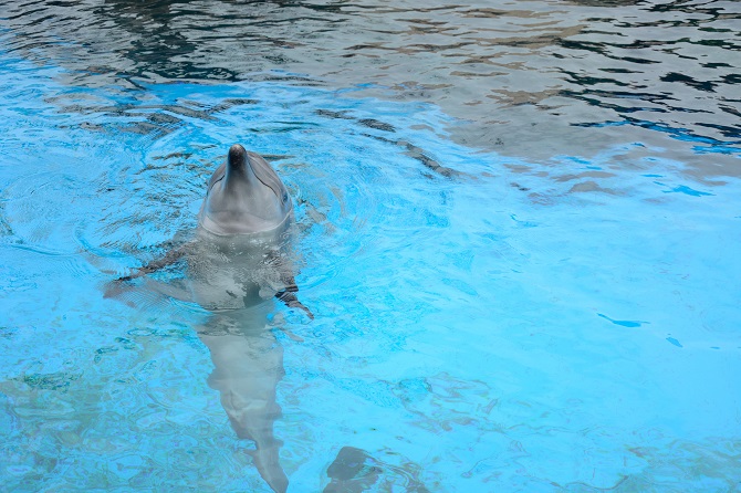 1479721714765485.jpg 2_17.JPG