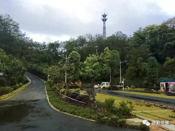 1500555913178318.jpg 2.jpg