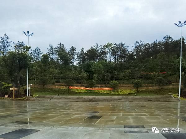 1500555933310834.jpg 3.jpg