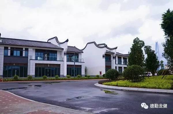 1500557090658169.jpg 5.jpg