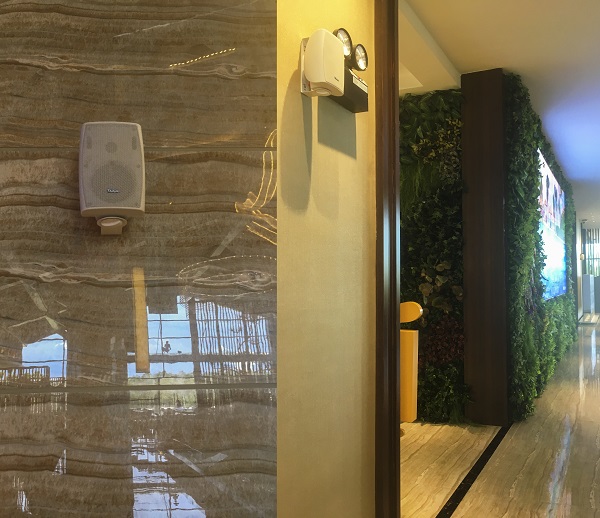 1529486916174624.jpg 15.JPG