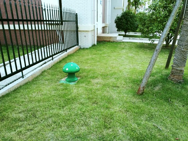 1537863359721380.jpg (6).jpg