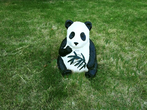 1537863369638359.jpg (7).jpg