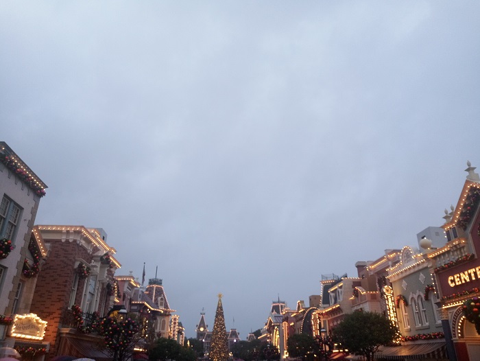 1543222351702408.jpg 1 (40).jpg