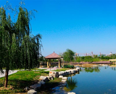 公園, 風(fēng)景區(qū), 主題地帶