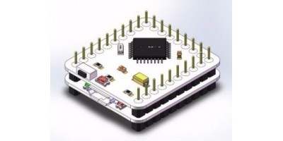 項目軟硬件開發(fā)（R&D）