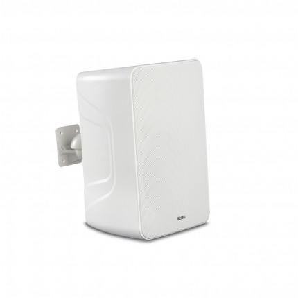 DEKEN FIT WS6L (DT)  6.5寸全天候Dante有源壁掛音箱