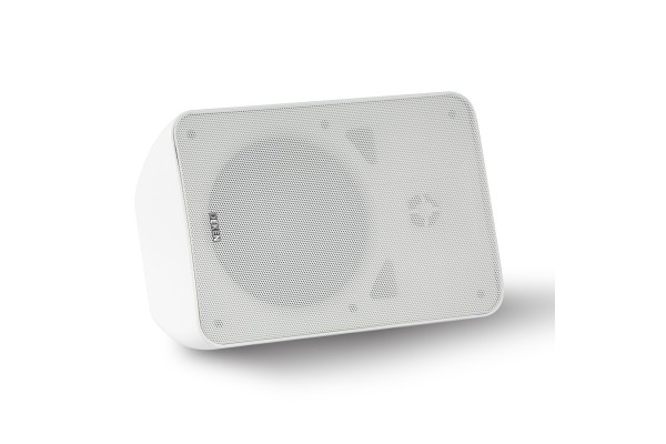 新品！DEKEN FIT WS6L (DT) 6.5